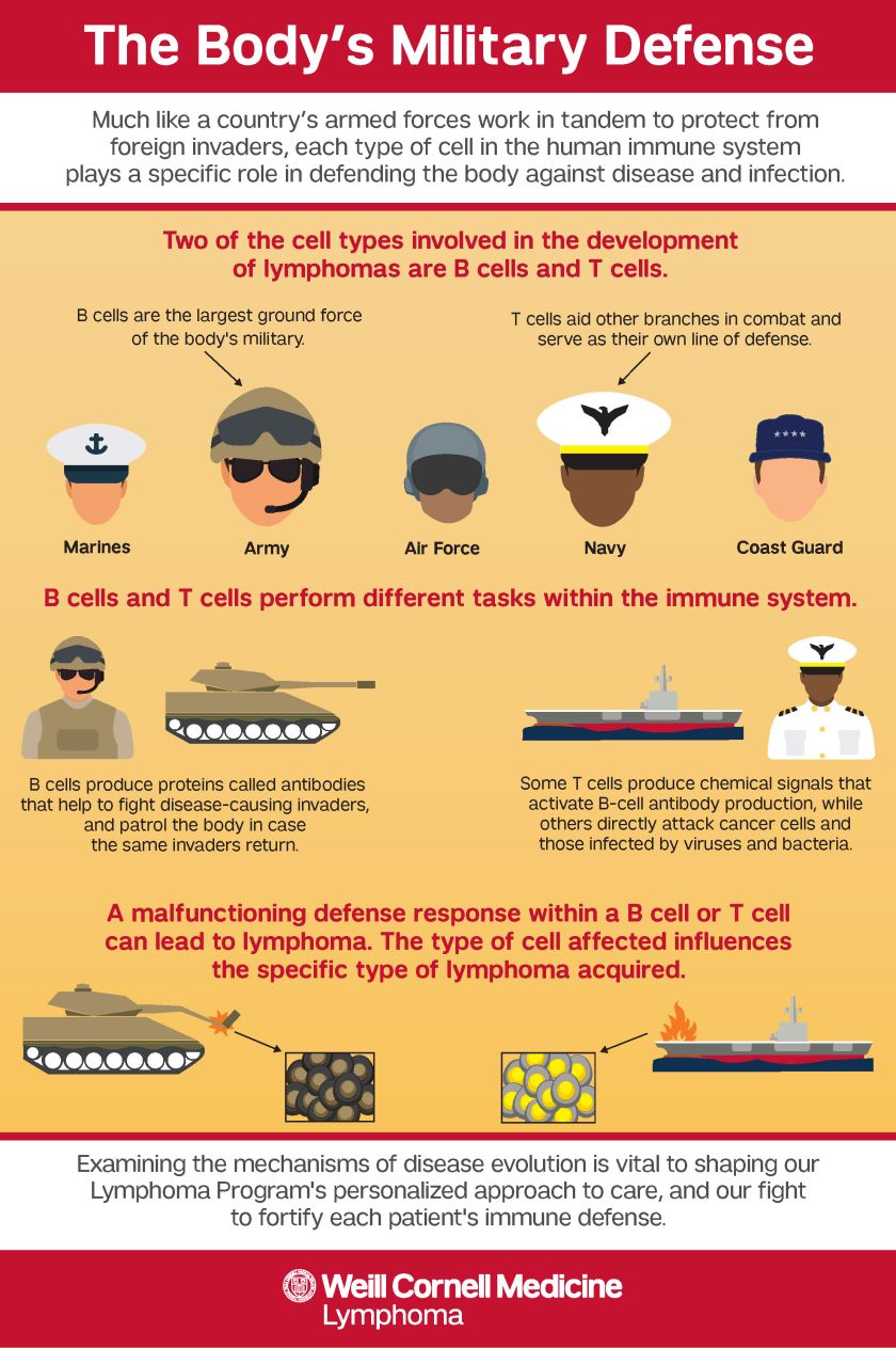 The Body's Military Defense