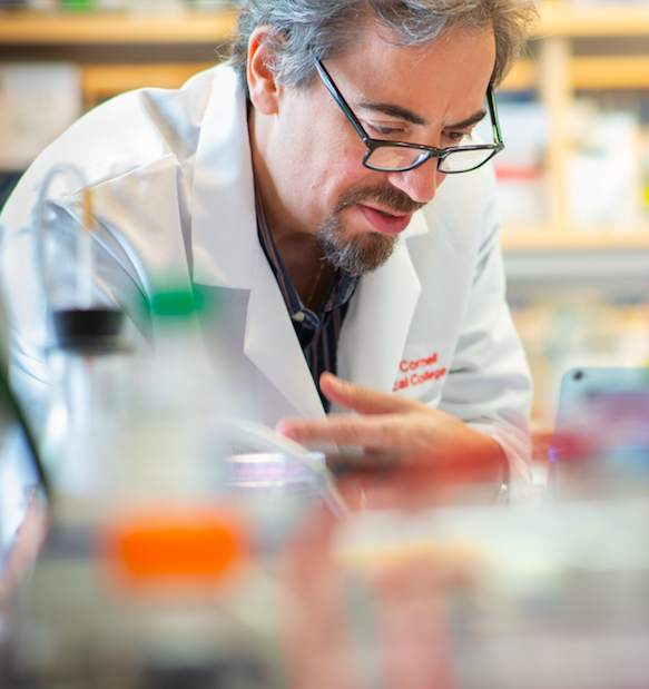 Screen Shot 2020-06-17 at 10.54.10 AM