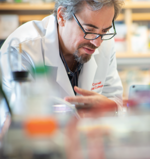 Screen Shot 2020-06-17 at 10.54.10 AM